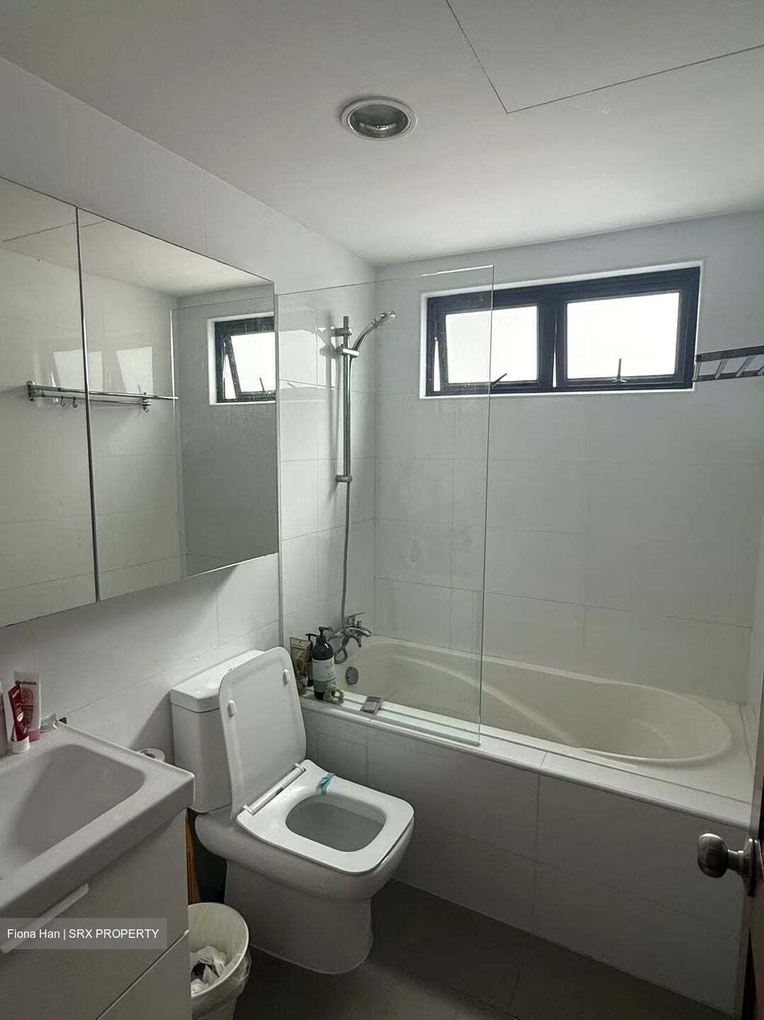 Chiltern Park (D19), Condominium #581917101